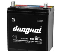 Ắc quy ô tô Đồng Nai 40B20L khô (12v - 35ah)
